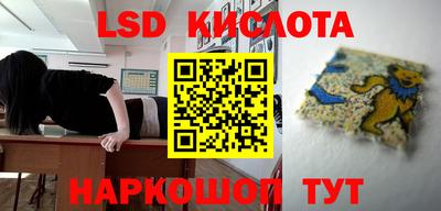 твердый Бердск