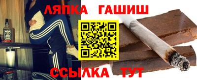 твердый Бердск